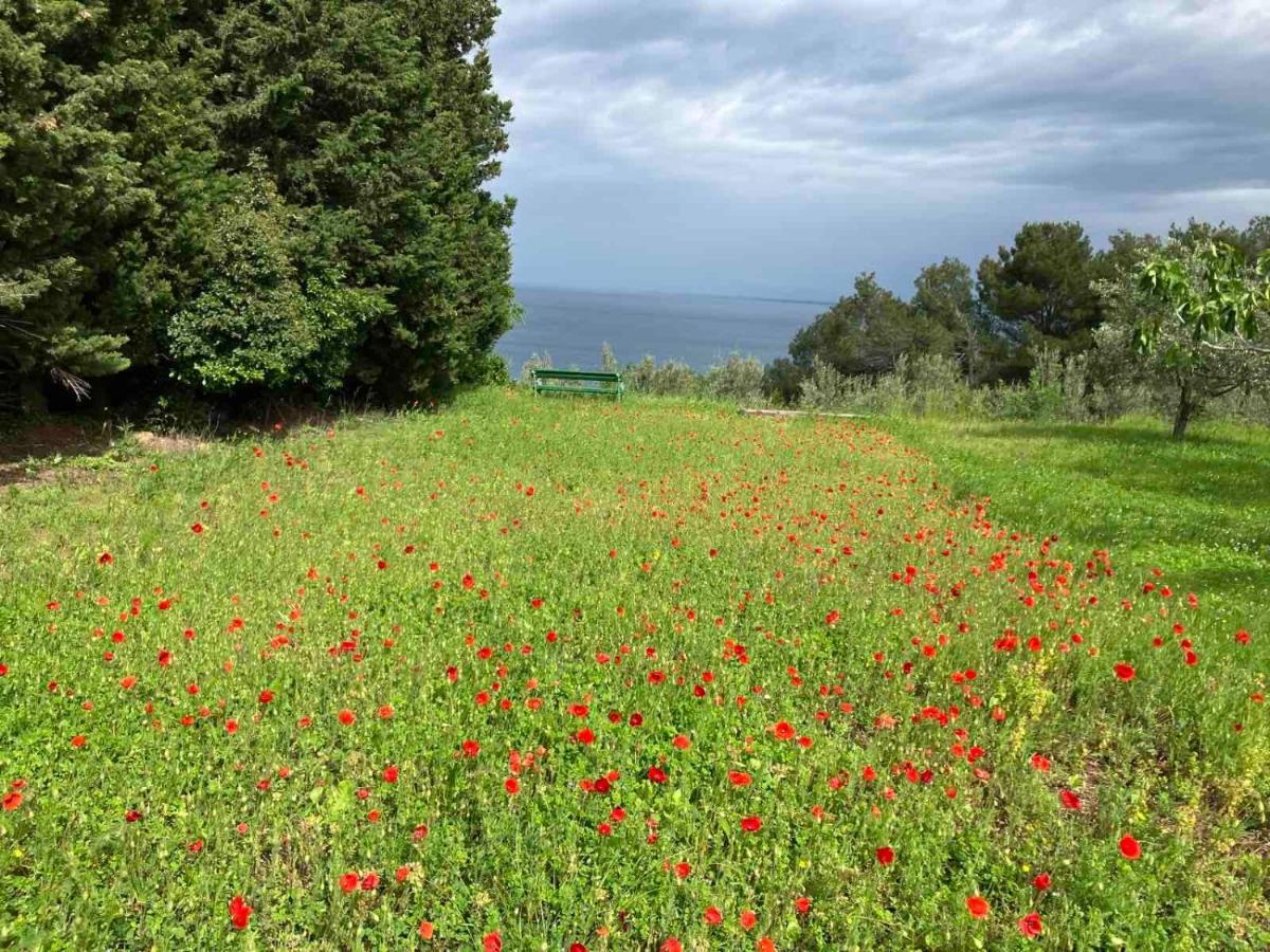 Istrian Green House Portoroz Exterior photo