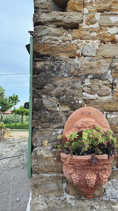 Istrian Green House Portoroz Exterior photo