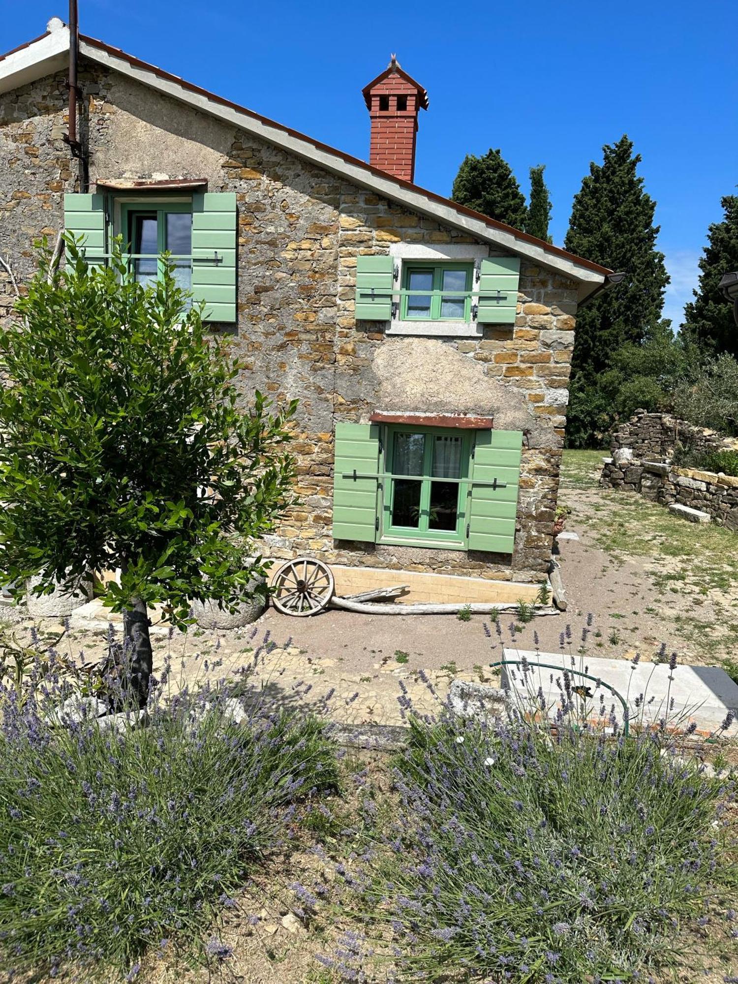 Istrian Green House Portoroz Exterior photo